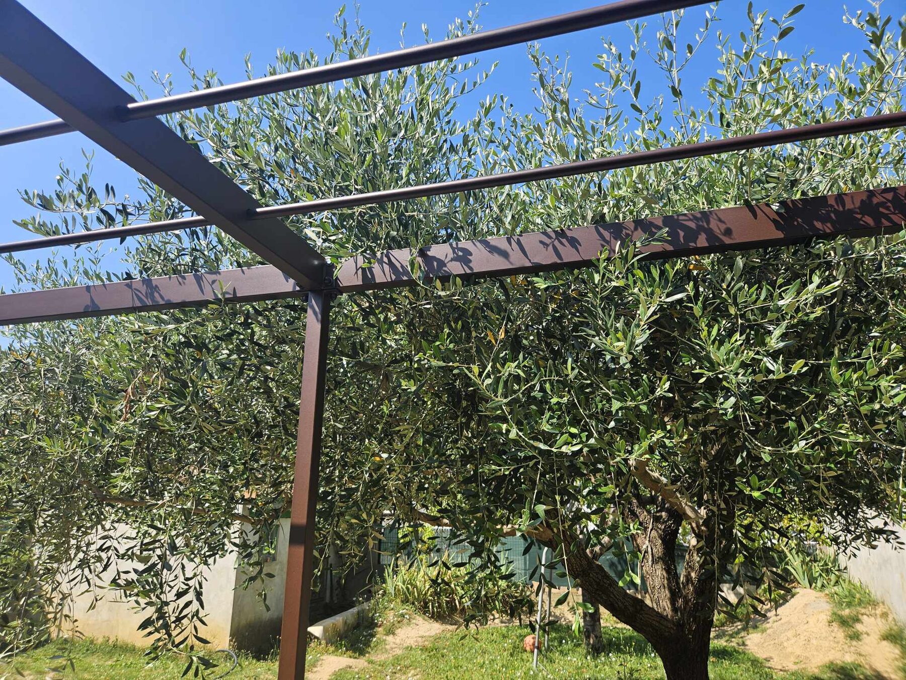 Pergola métallique sur mesure installée dans un jardin